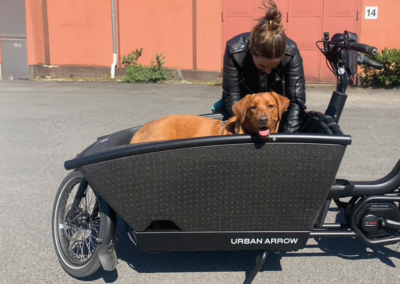 Cargobike mit Hund